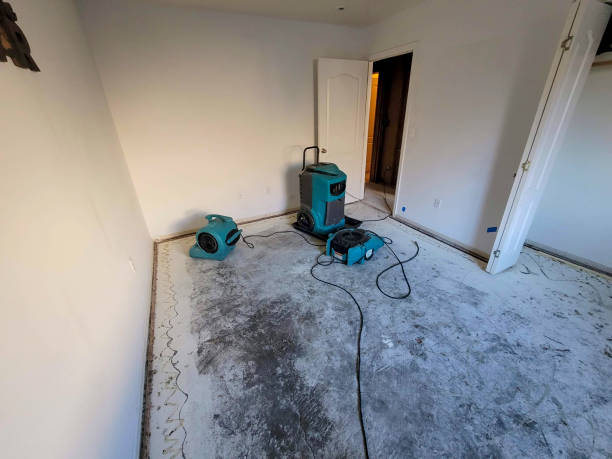 Best Ceiling water damage repair  in Winter Gardens, CA