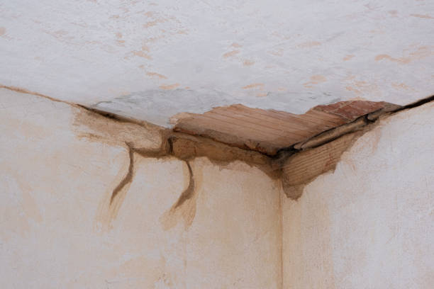 Best Water damage restoration experts  in Winter Gardens, CA