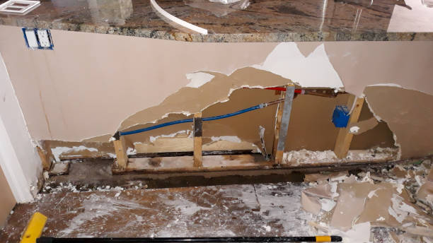 Best Basement water damage restoration  in Winter Gardens, CA