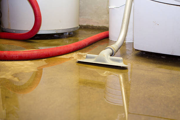 Carpet water damage restoration in Winter Gardens, CA